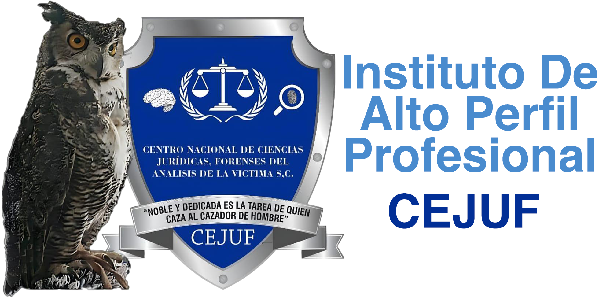 Instituto De Alto Perfil Profesional CEJUF
